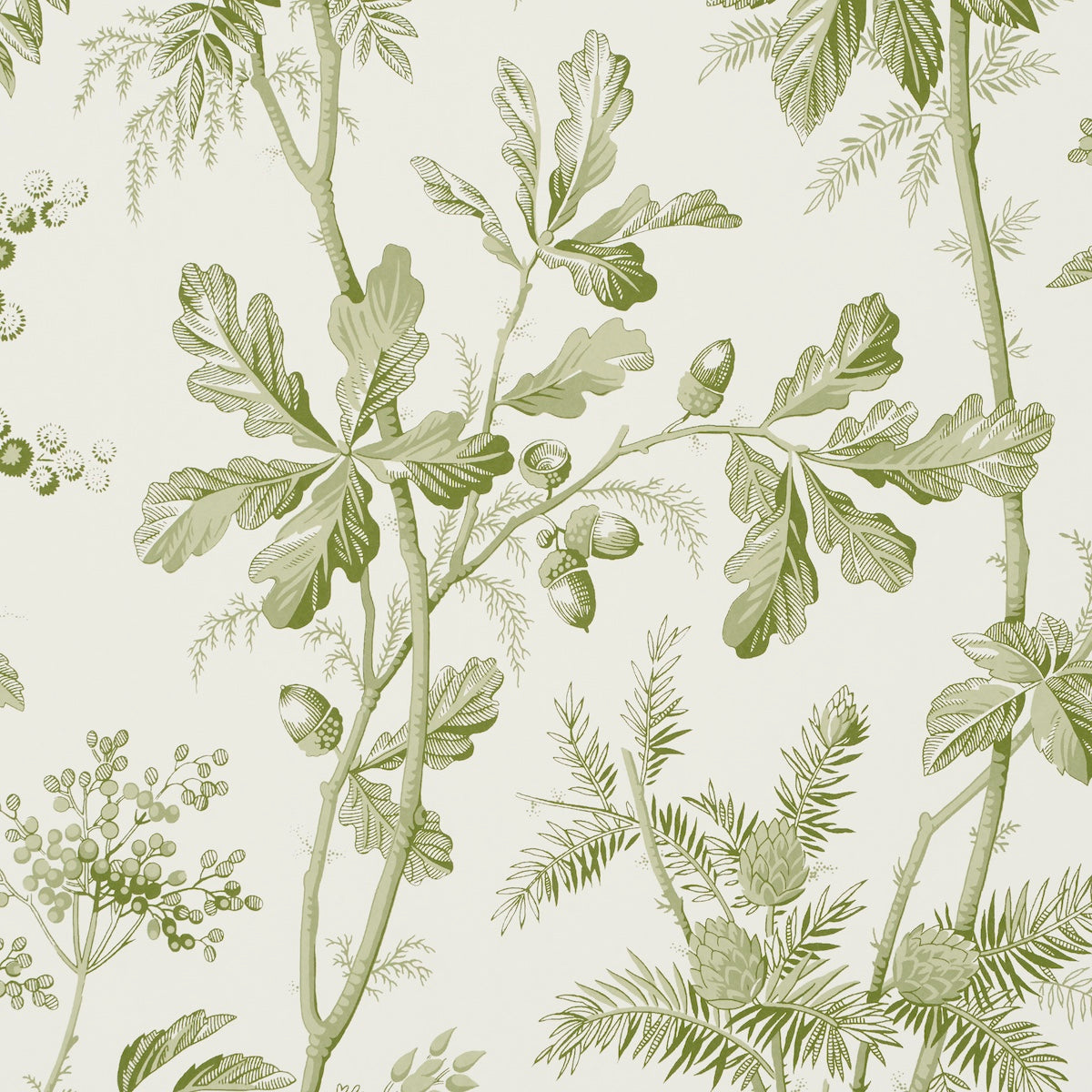 Purchase 5016350 | Brantwood Vine, Leaf - Schumacher Wallpaper