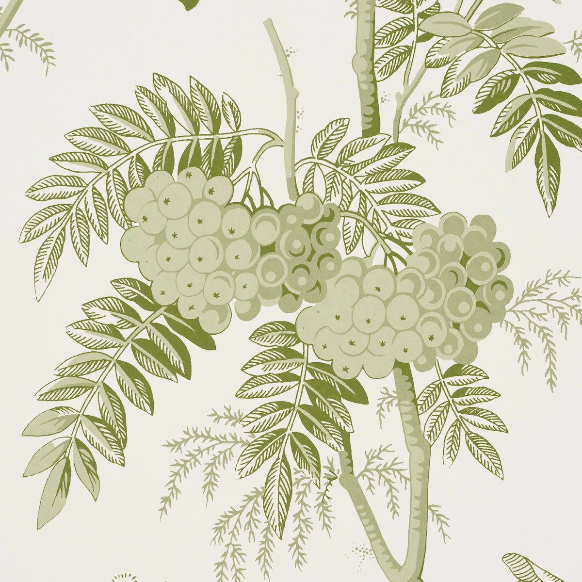 Purchase 5016350 | Brantwood Vine, Leaf - Schumacher Wallpaper