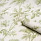 Purchase 5016350 | Brantwood Vine, Leaf - Schumacher Wallpaper