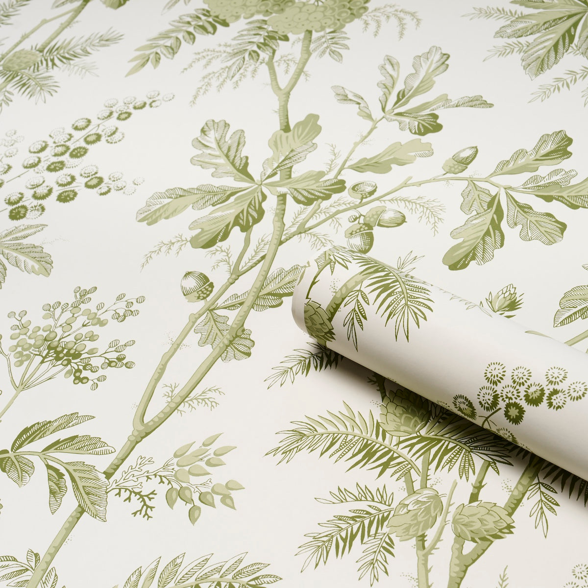 Purchase 5016350 | Brantwood Vine, Leaf - Schumacher Wallpaper