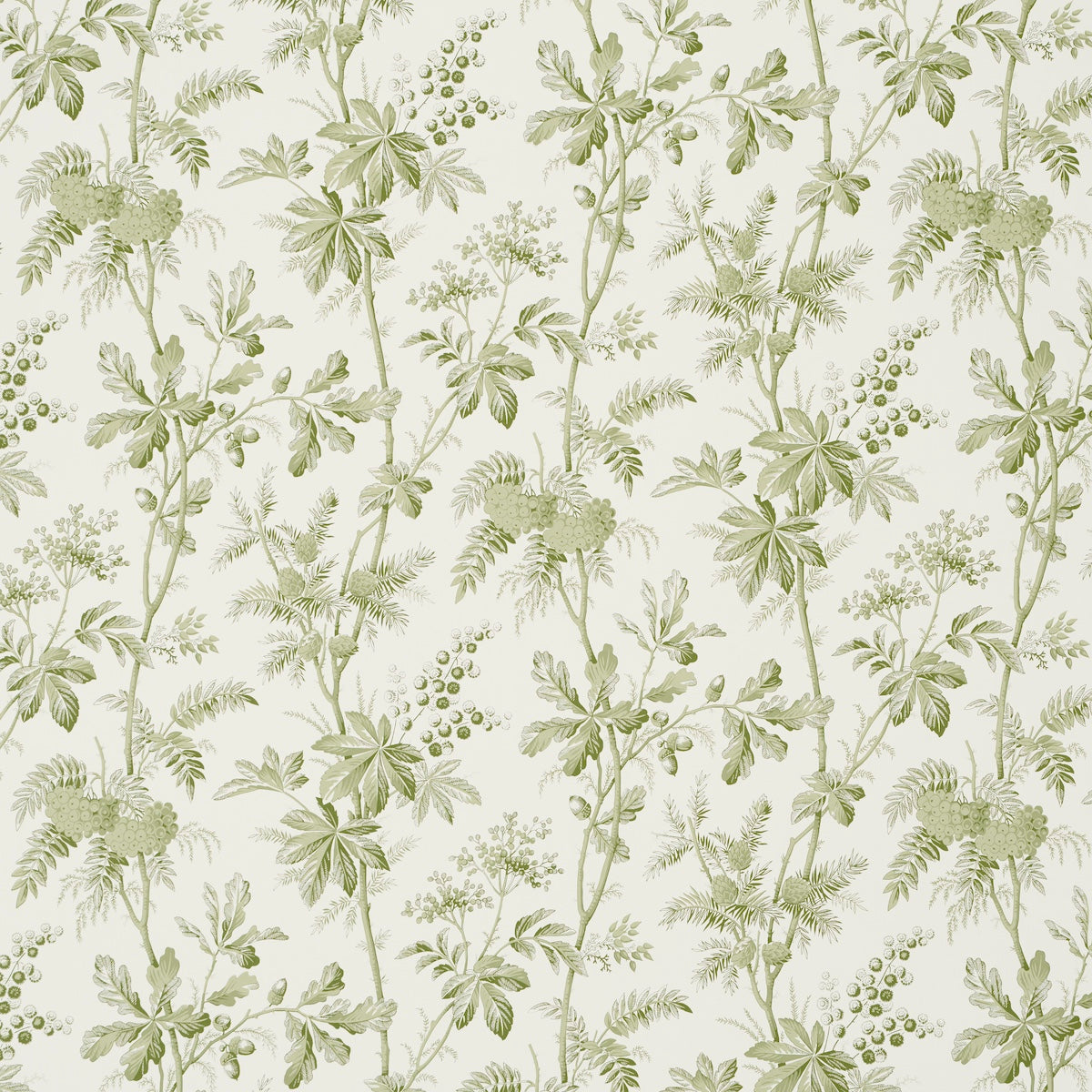 Purchase 5016350 | Brantwood Vine, Leaf - Schumacher Wallpaper