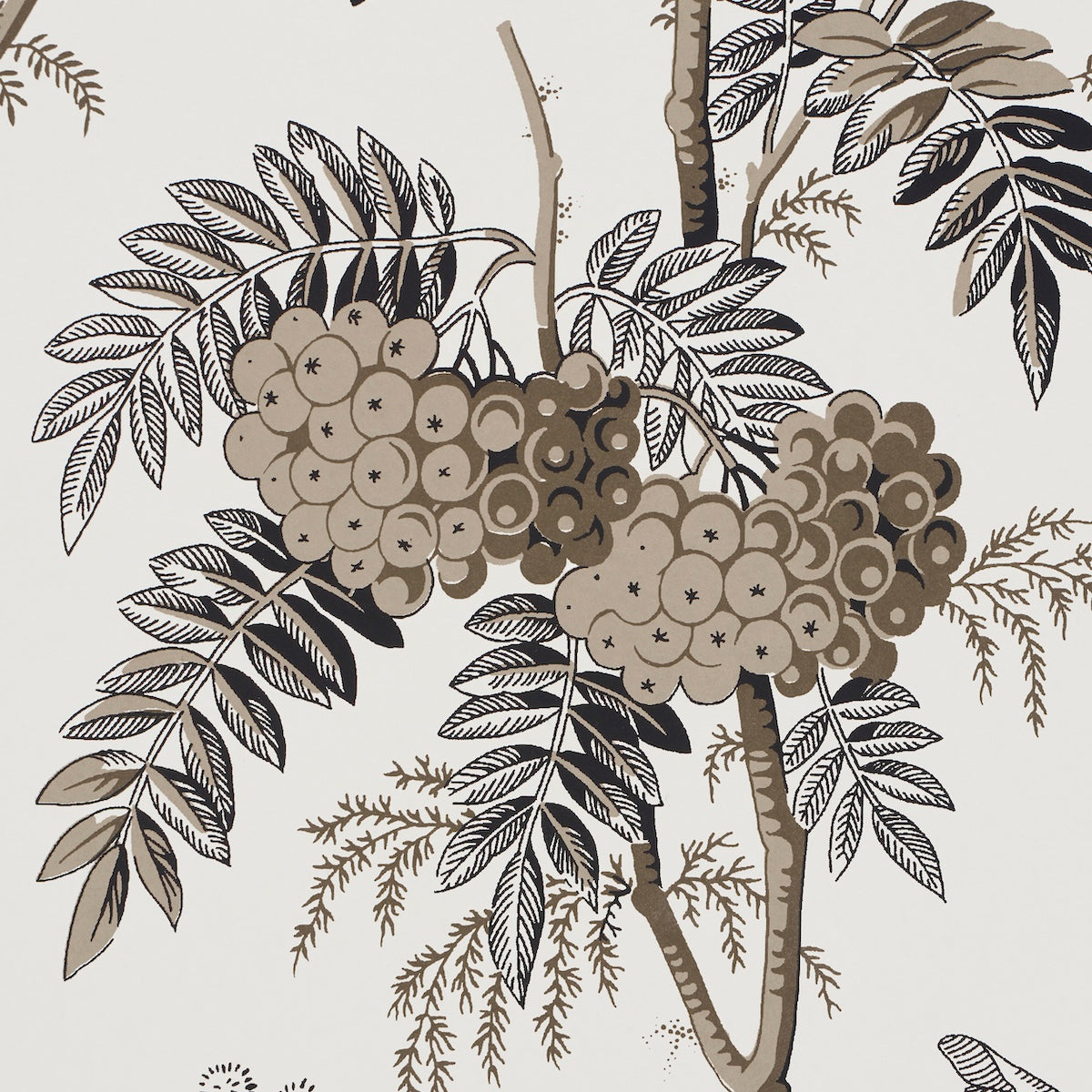 Purchase 5016352 | Brantwood Vine, Graphite - Schumacher Wallpaper