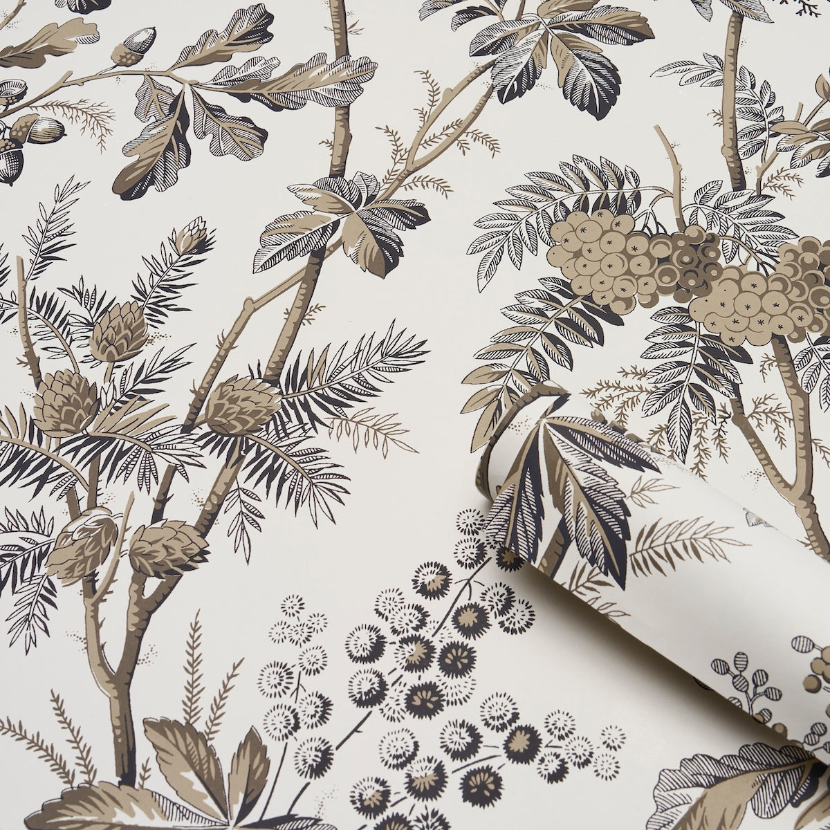 Purchase 5016352 | Brantwood Vine, Graphite - Schumacher Wallpaper