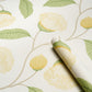 Purchase 5016362 | Celinda, Citrus - Schumacher Wallpaper