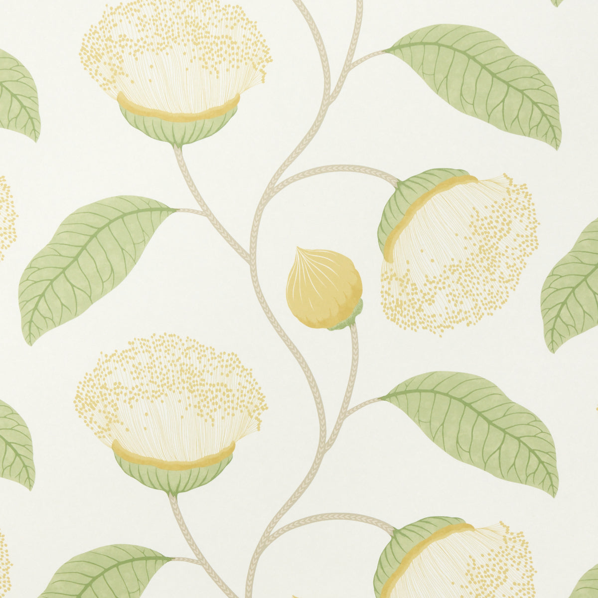 Purchase 5016362 | Celinda, Citrus - Schumacher Wallpaper