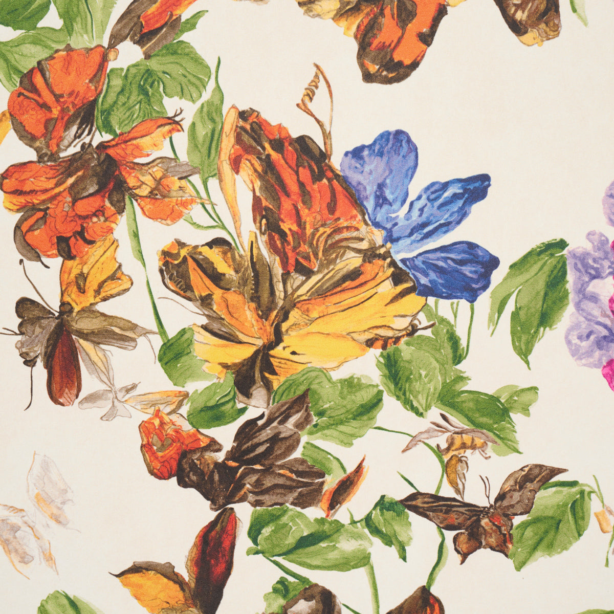 Purchase 5016380 | Pyne Butterfly, Monarch Orange - Schumacher Wallpaper