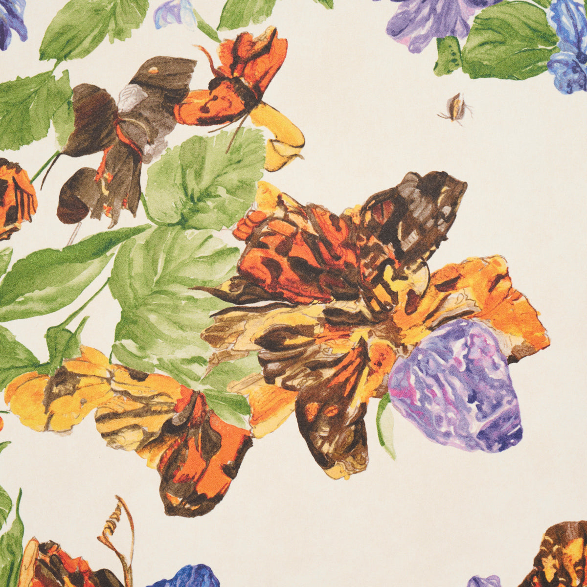 Purchase 5016380 | Pyne Butterfly, Monarch Orange - Schumacher Wallpaper