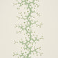 Purchase 5016452 | Coral Stripe, Green - Schumacher Wallpaper