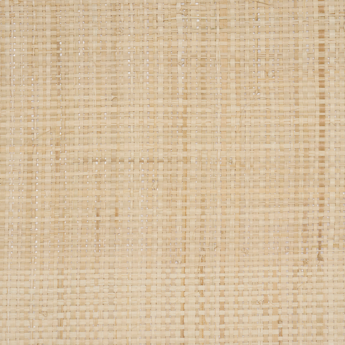 Purchase 5016510 | Blonde Raffia, Wheat - Schumacher Wallpaper