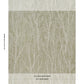 Purchase 5016591 | Komorebi, Illuminated Forest - Schumacher Wallpaper