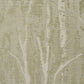 Purchase 5016591 | Komorebi, Illuminated Forest - Schumacher Wallpaper