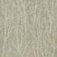 Purchase 5016591 | Komorebi, Illuminated Forest - Schumacher Wallpaper