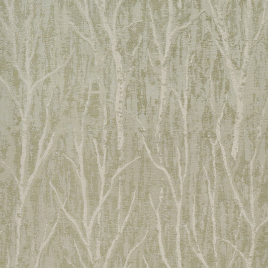 Purchase 5016591 | Komorebi, Illuminated Forest - Schumacher Wallpaper