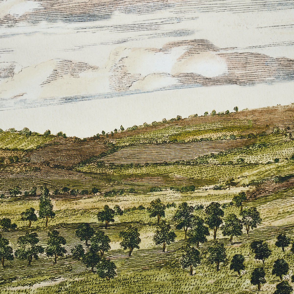 Purchase 5016810 | Mr. Darcy 3 Panel Set, Pemberley Green - Schumacher Wallpaper