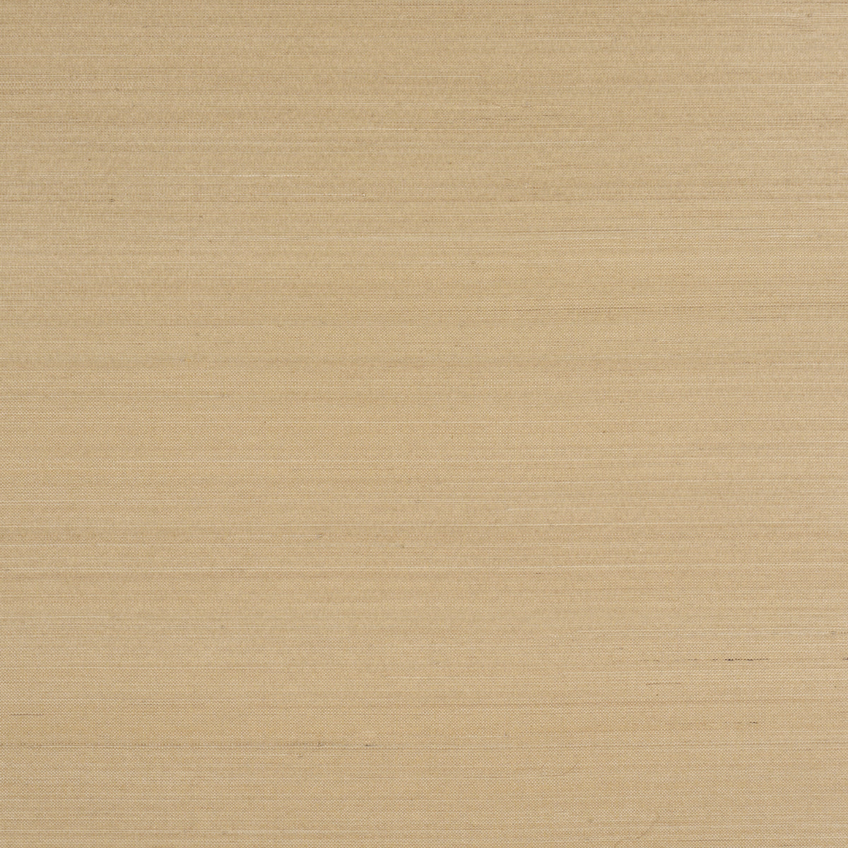 Purchase 5016873 | Musa Abaca Wallcovering, Soft Gold - Schumacher Wallpaper