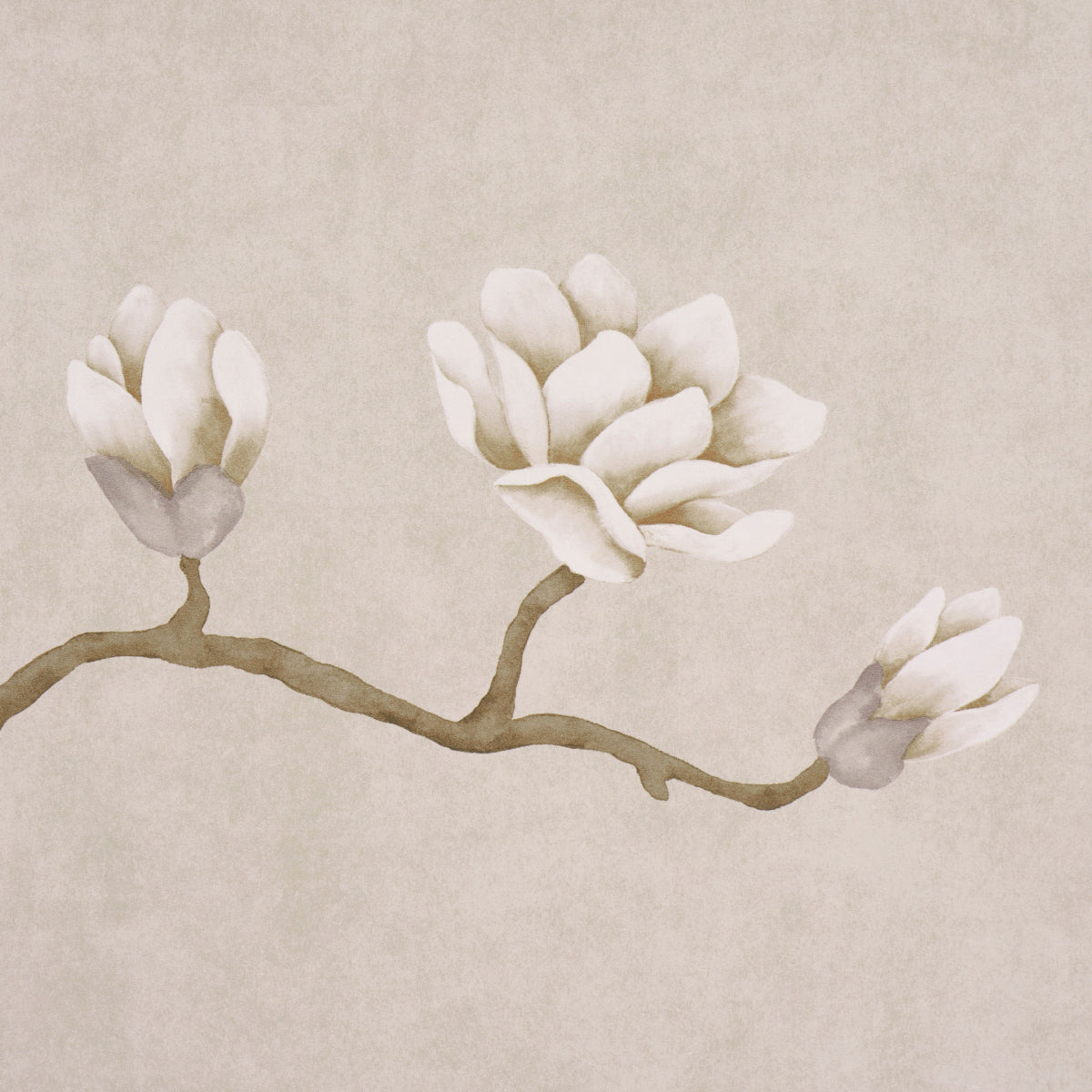 Purchase 5016931 | Magnolia Tree, Grisaille - Schumacher Wallpaper