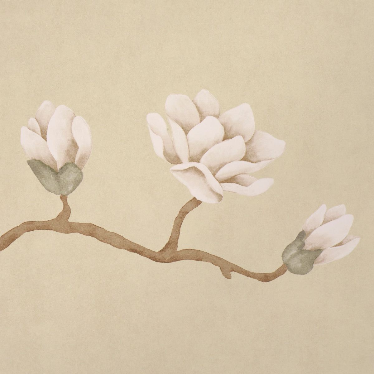 Purchase 5016932 | Magnolia Tree, Soft Gold - Schumacher Wallpaper