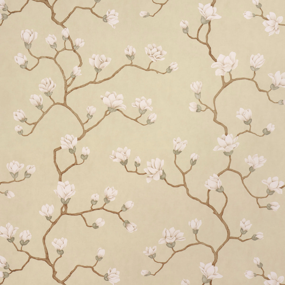 Purchase 5016932 | Magnolia Tree, Soft Gold - Schumacher Wallpaper