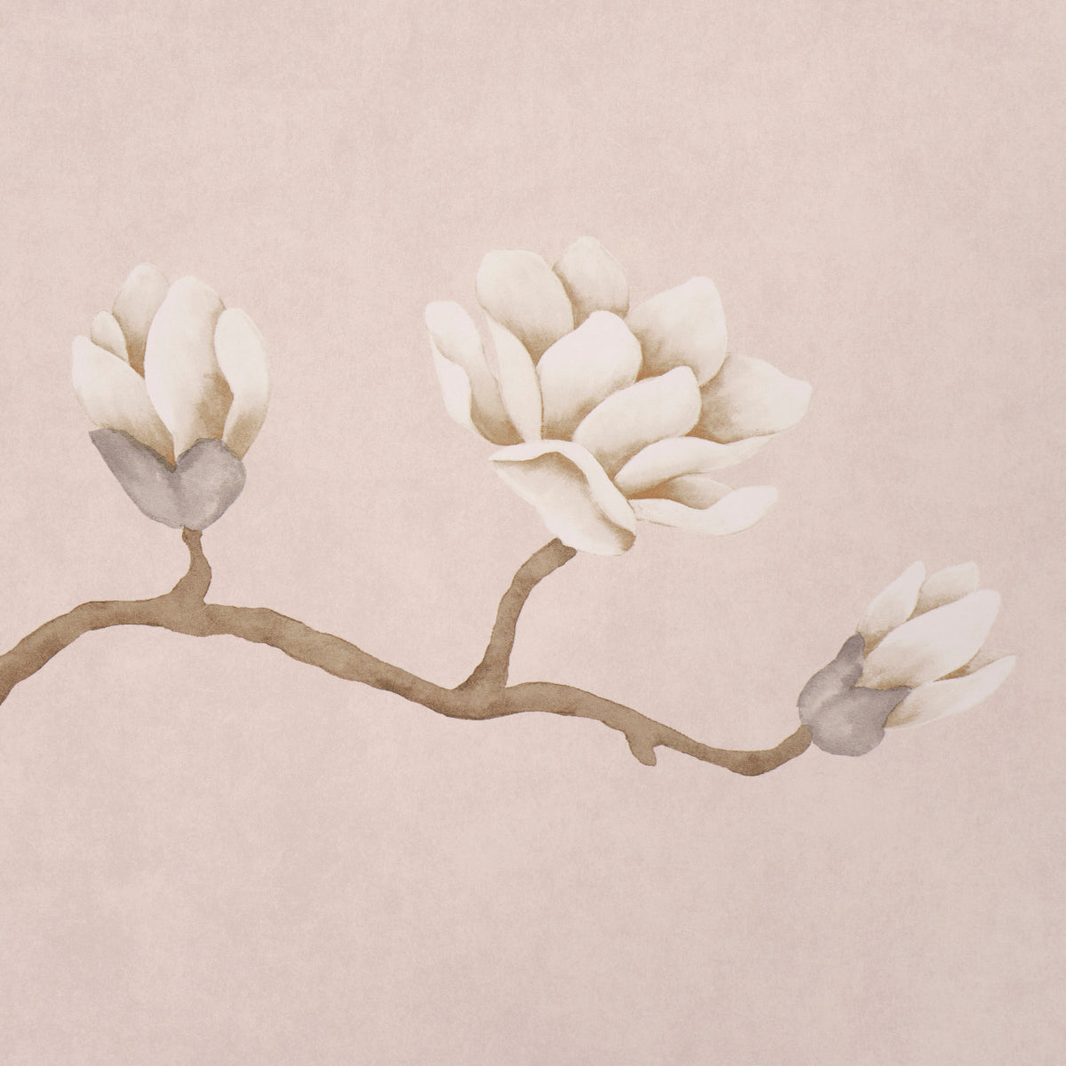 Purchase 5016933 | Magnolia Tree, Dusty Blush - Schumacher Wallpaper