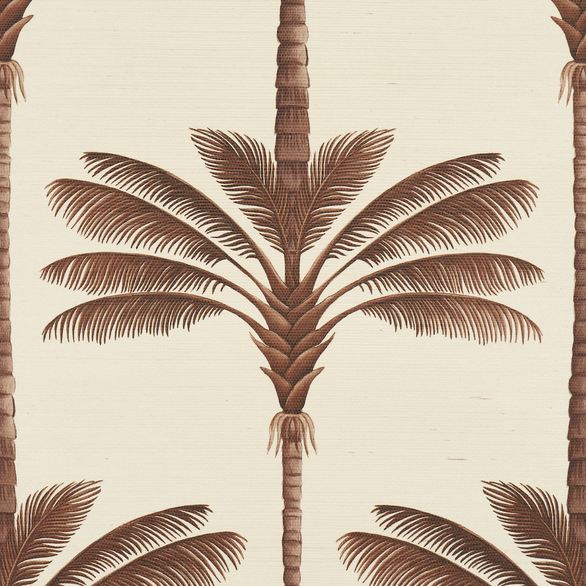 Purchase 5016960 | A Palm Is A Palm Sisal, Chocolate Meets Tobacco - Schumacher Wallpaper