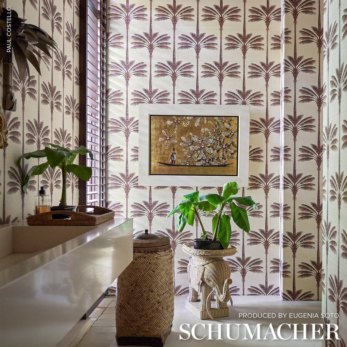 Purchase 5016960 | A Palm Is A Palm Sisal, Chocolate Meets Tobacco - Schumacher Wallpaper