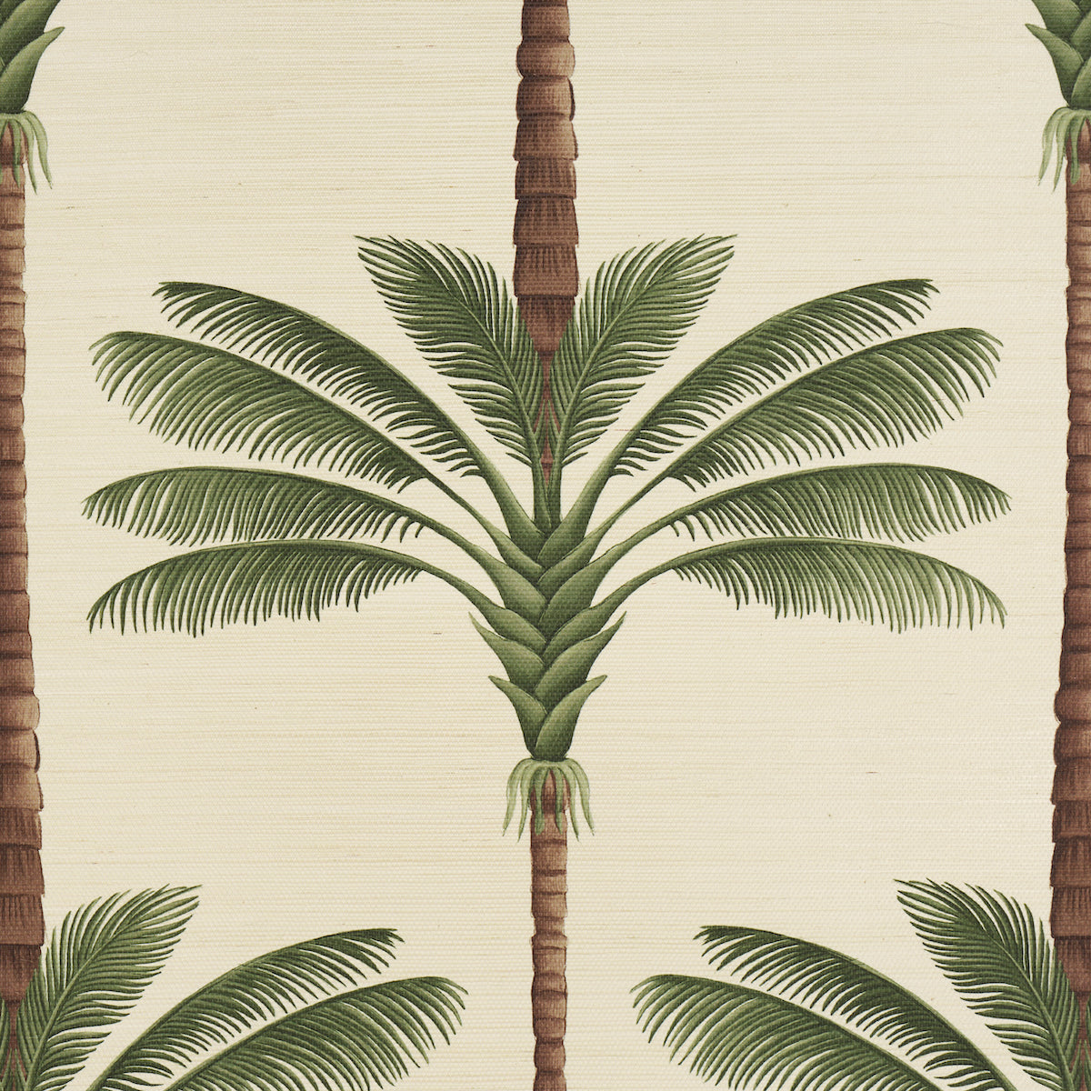 Purchase 5016961 | A Palm Is A Palm Sisal, Daylight Evergreen - Schumacher Wallpaper