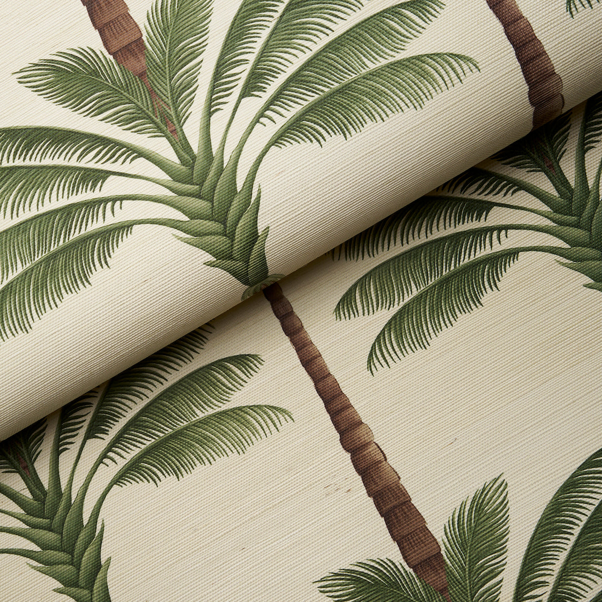 Purchase 5016961 | A Palm Is A Palm Sisal, Daylight Evergreen - Schumacher Wallpaper