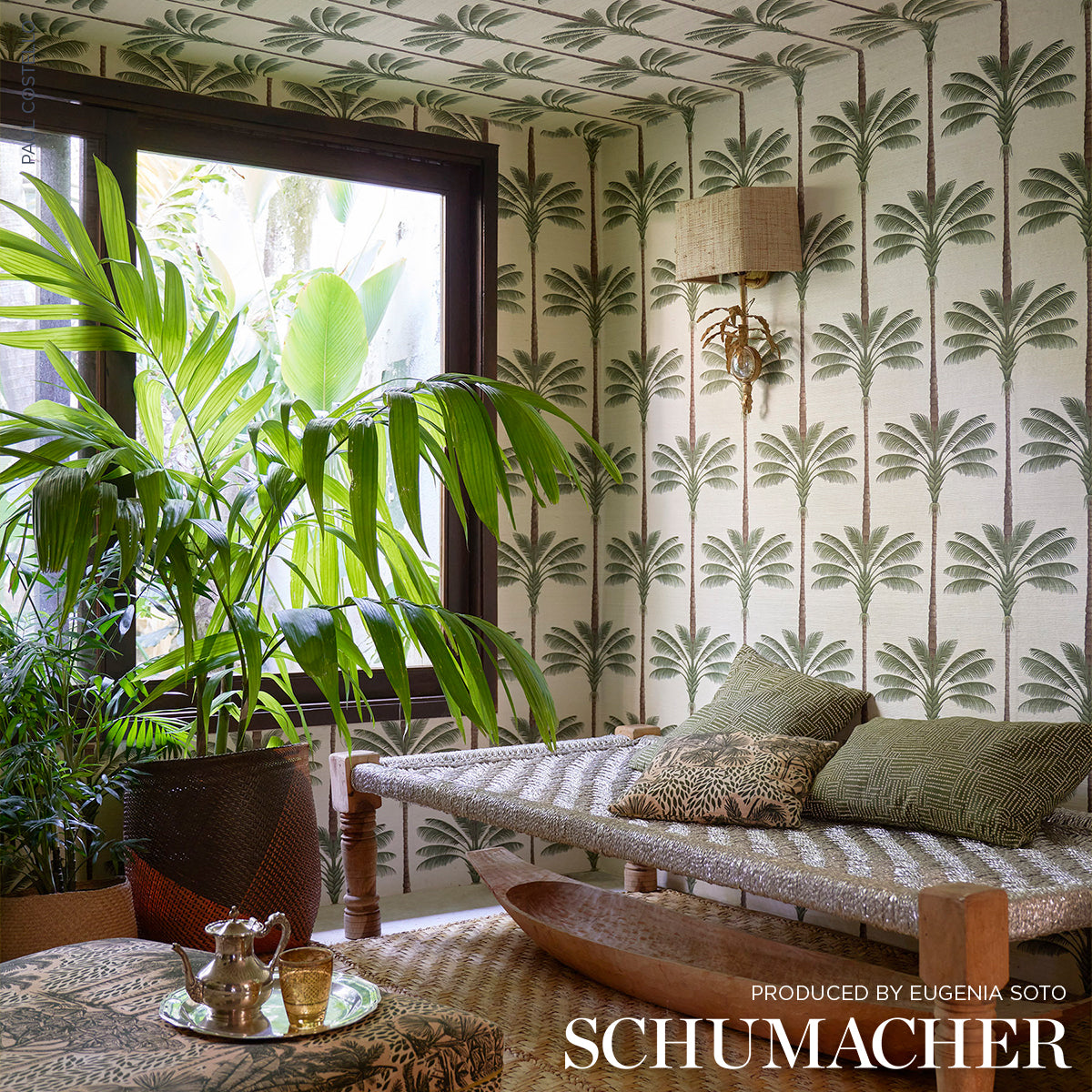 Purchase 5016961 | A Palm Is A Palm Sisal, Daylight Evergreen - Schumacher Wallpaper