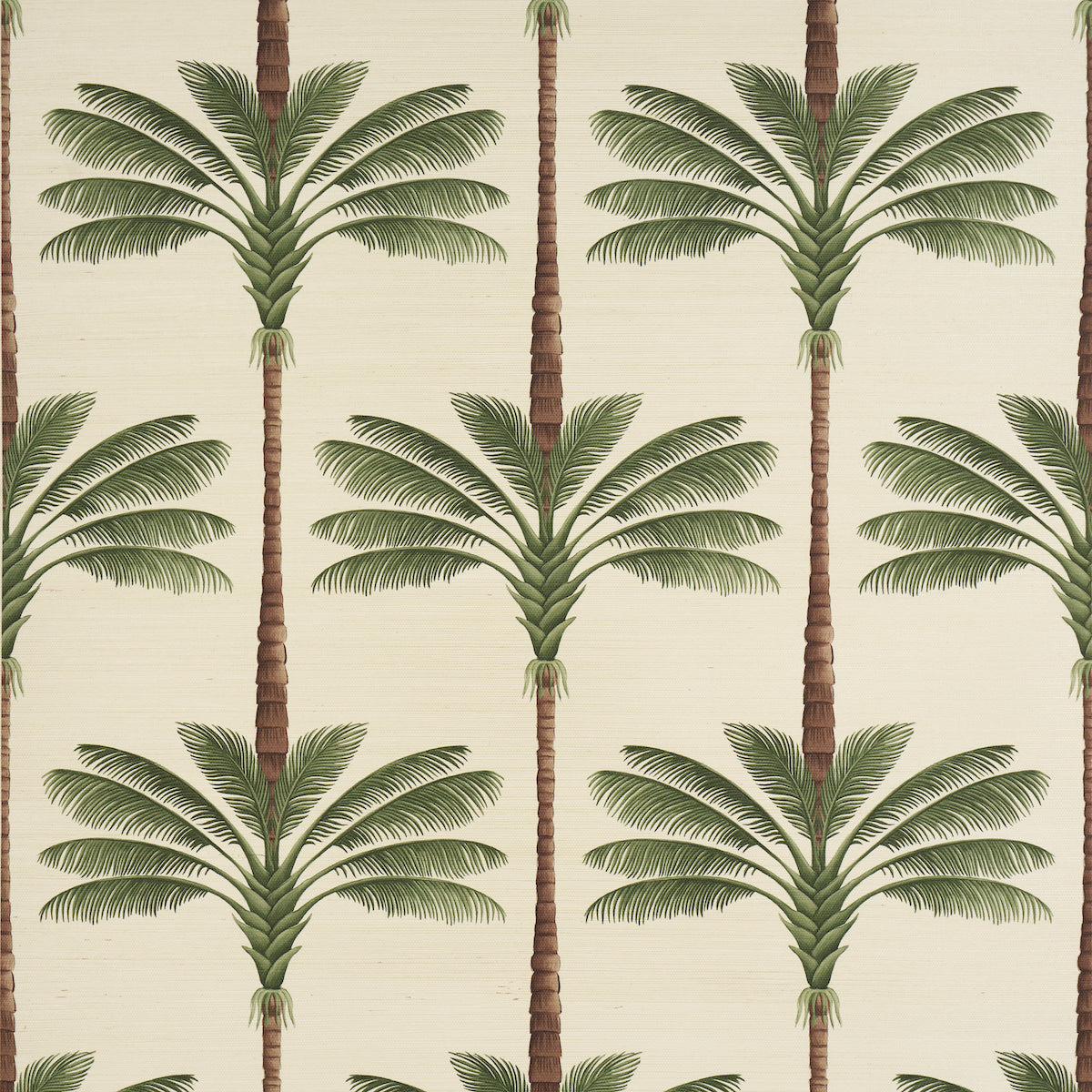 Purchase 5016961 | A Palm Is A Palm Sisal, Daylight Evergreen - Schumacher Wallpaper