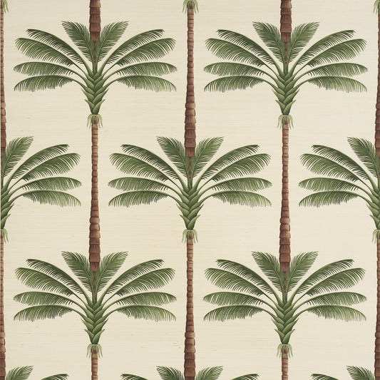 Purchase 5016961 | A Palm Is A Palm Sisal, Daylight Evergreen - Schumacher Wallpaper