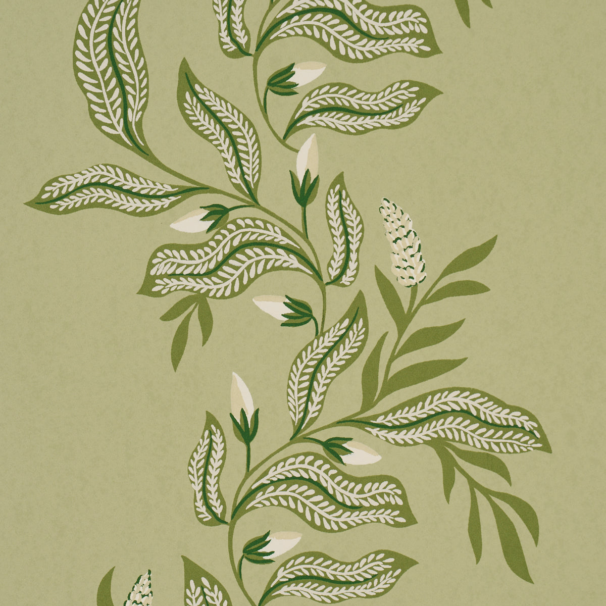 Purchase 5016970 | Vagary Vines, Honeydew - Schumacher Wallpaper