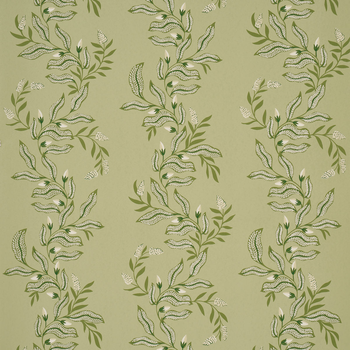 Purchase 5016970 | Vagary Vines, Honeydew - Schumacher Wallpaper