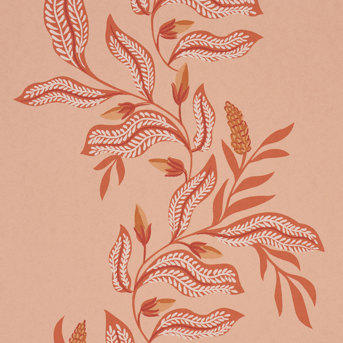 Purchase 5016971 | Vagary Vines, Papaya - Schumacher Wallpaper