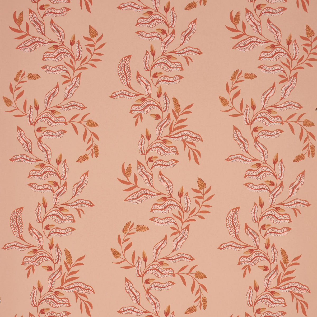 Purchase 5016971 | Vagary Vines, Papaya - Schumacher Wallpaper