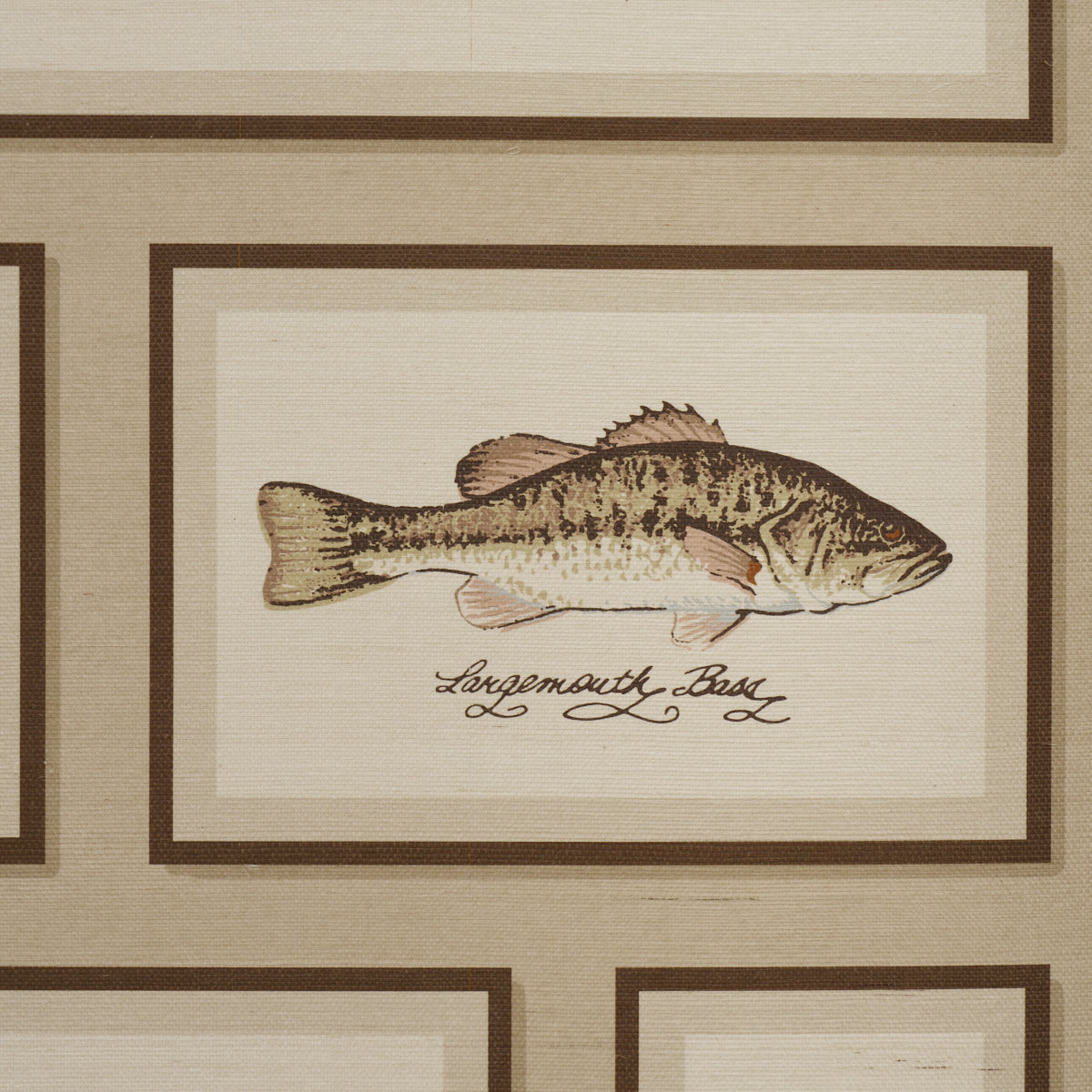 Purchase 5017001 | Jamie'S Trophies Sisal, Natural - Schumacher Wallpaper