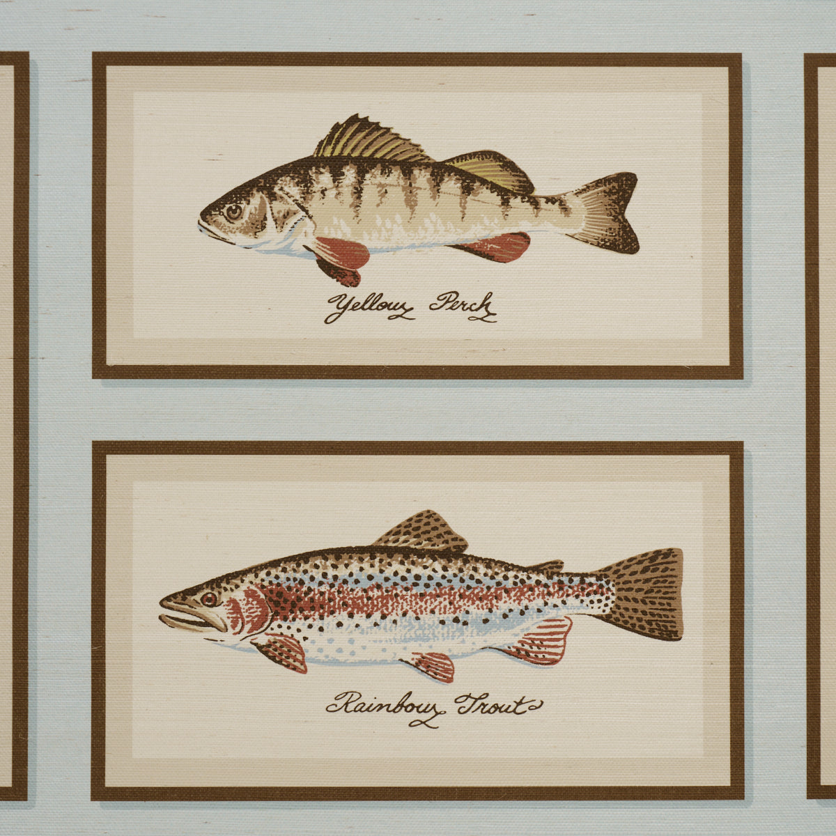 Purchase 5017002 | Jamie'S Trophies Sisal, Sky - Schumacher Wallpaper