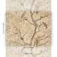 Purchase 5017090 | L’Attesa Nella Notte, Parchment - Schumacher Wallpaper