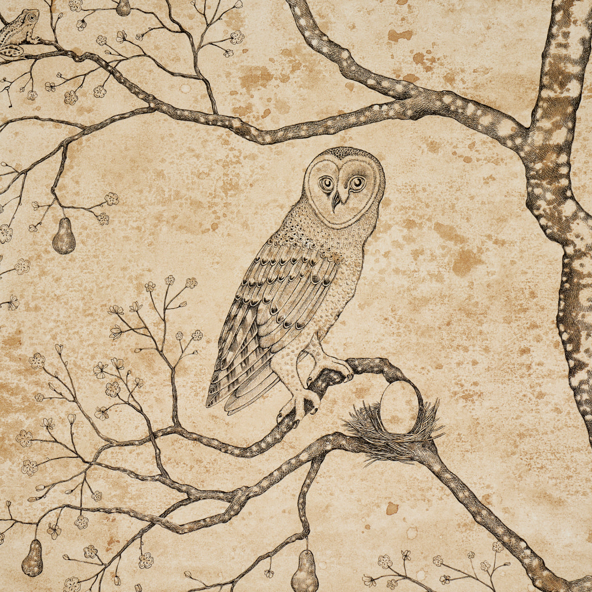 Purchase 5017090 | L’Attesa Nella Notte, Parchment - Schumacher Wallpaper