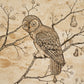 Purchase 5017090 | L’Attesa Nella Notte, Parchment - Schumacher Wallpaper
