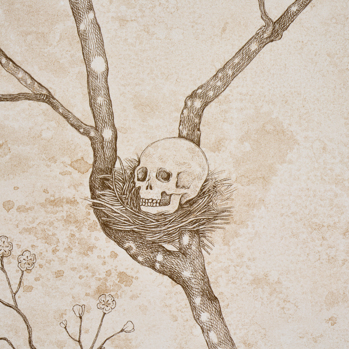 Purchase 5017091 | L’Attesa Nella Notte, Ivory - Schumacher Wallpaper