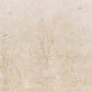 Purchase 5017131 | Sublime 4 Panel Set, Parchment - Schumacher Wallpaper