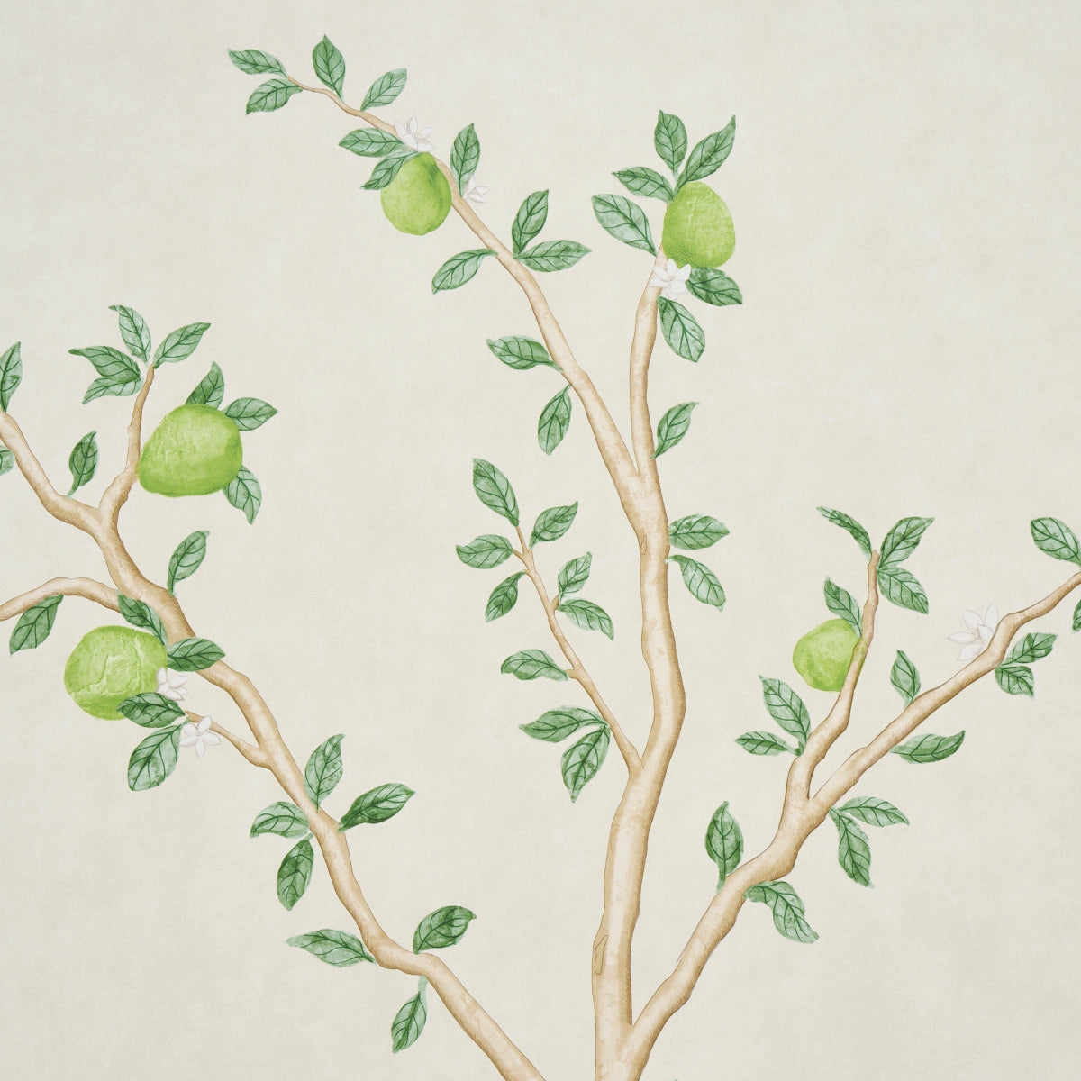 Purchase 5017160 | Citrus Blossom 2 Panel Set, Cream - Schumacher Wallpaper