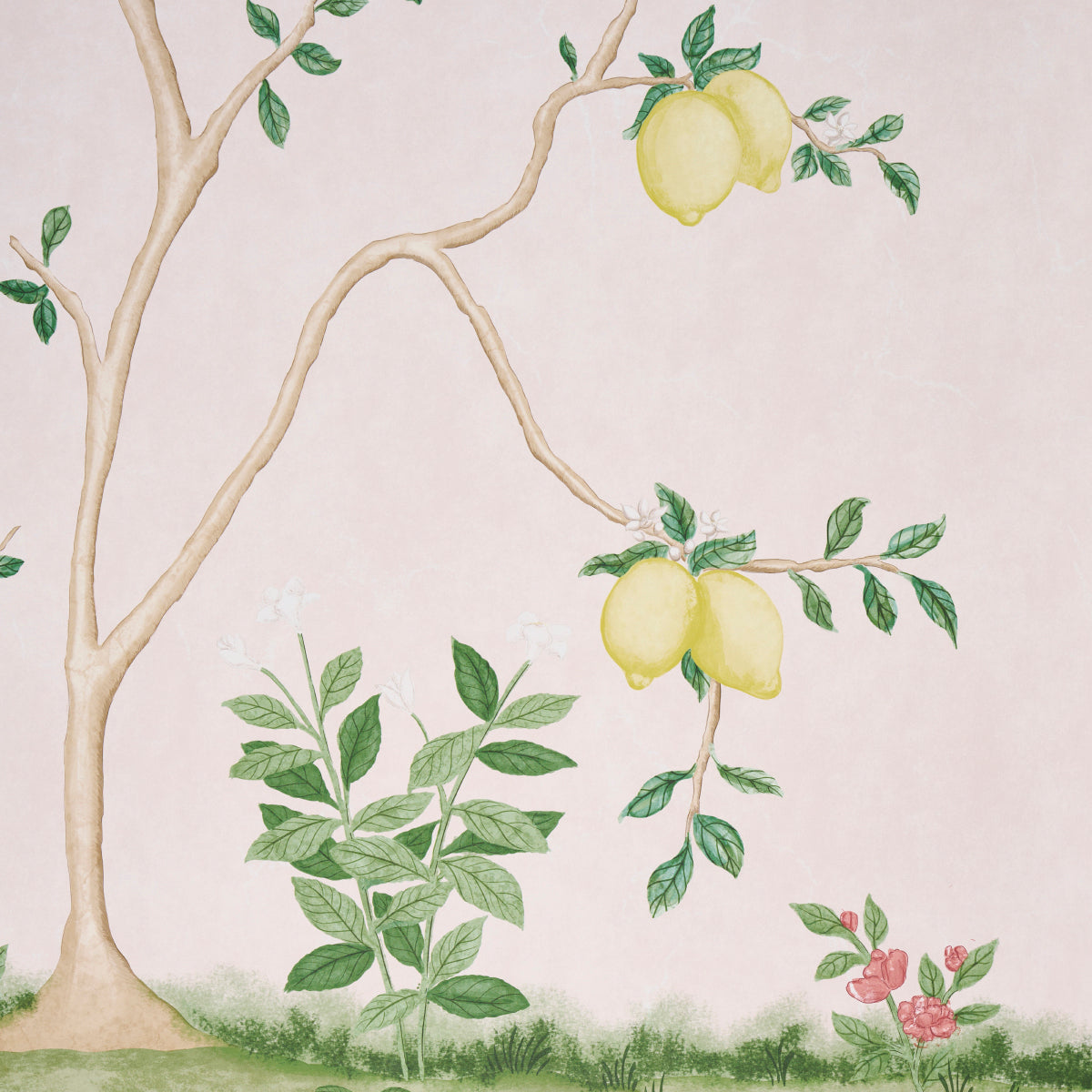 Purchase 5017161 | Citrus Blossom 2 Panel Set, Blush - Schumacher Wallpaper