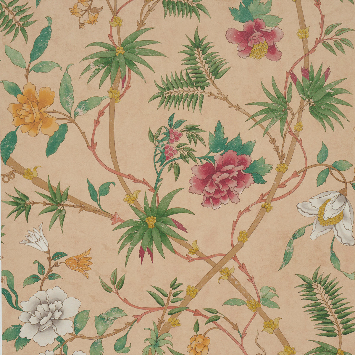 Purchase 5017170 | Arasi Botanical, Coral - Schumacher Wallpaper