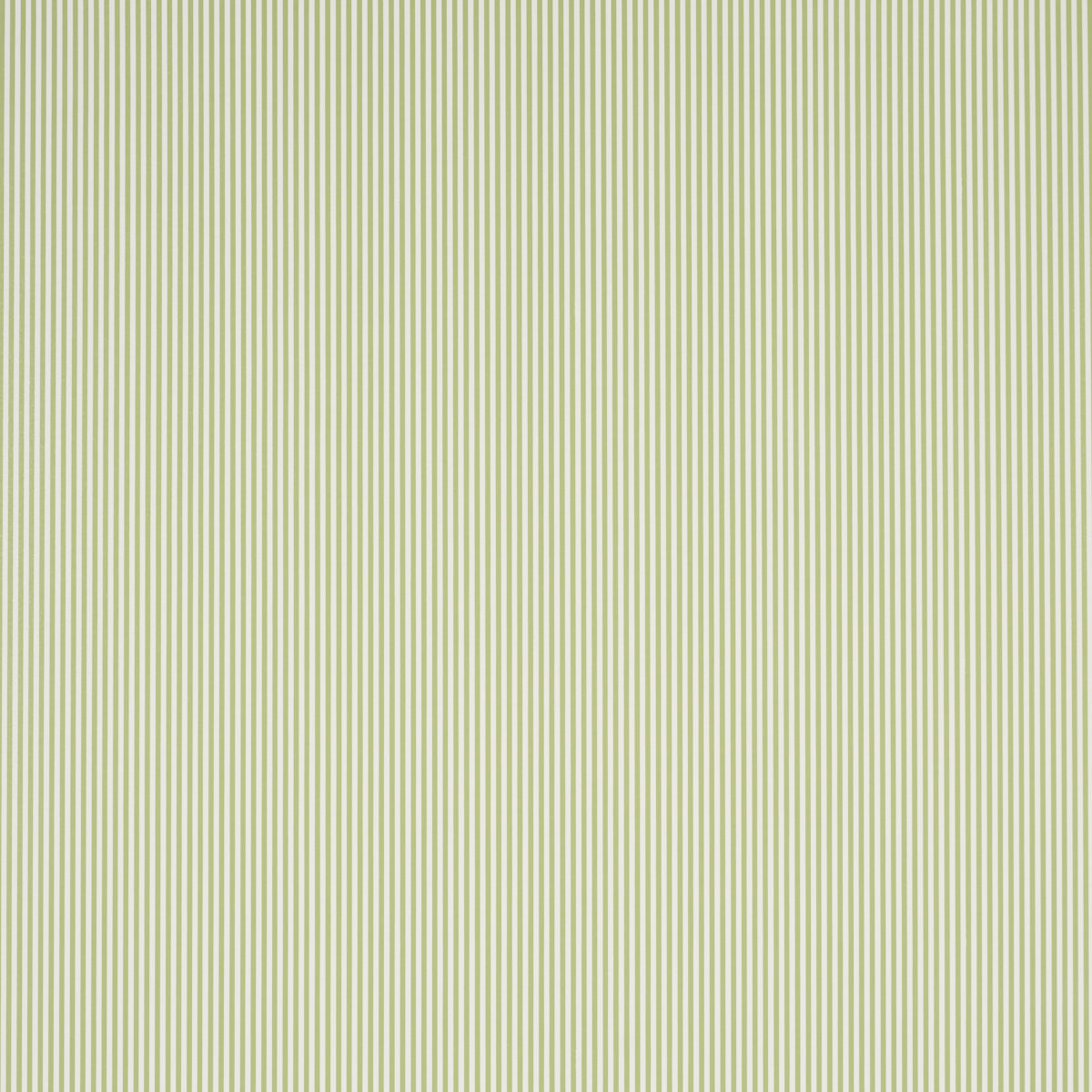 Purchase 5017193 | Emma Stripe Narrow, Leaf - Schumacher Wallpaper