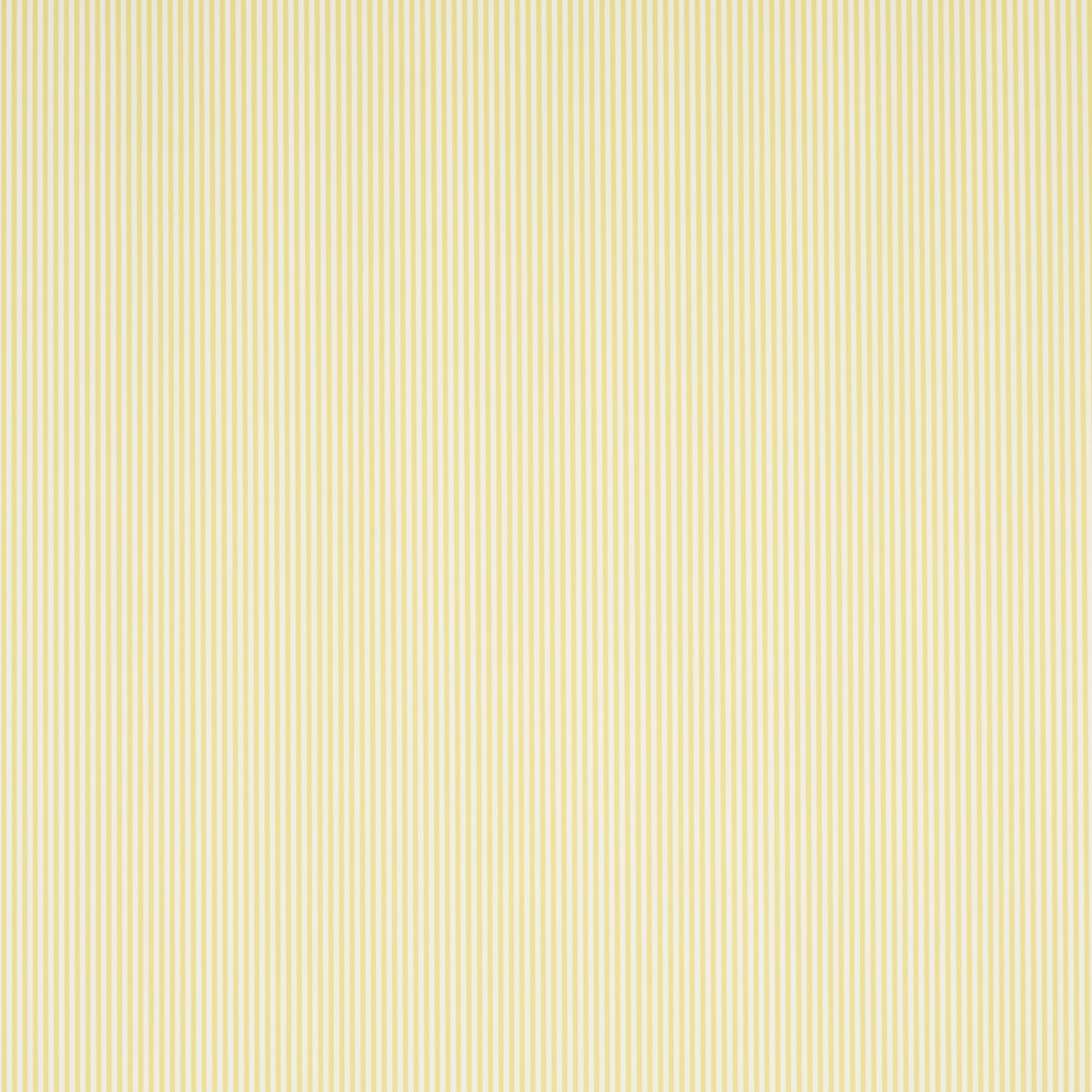 Purchase 5017196 | Emma Stripe Narrow, Yellow - Schumacher Wallpaper