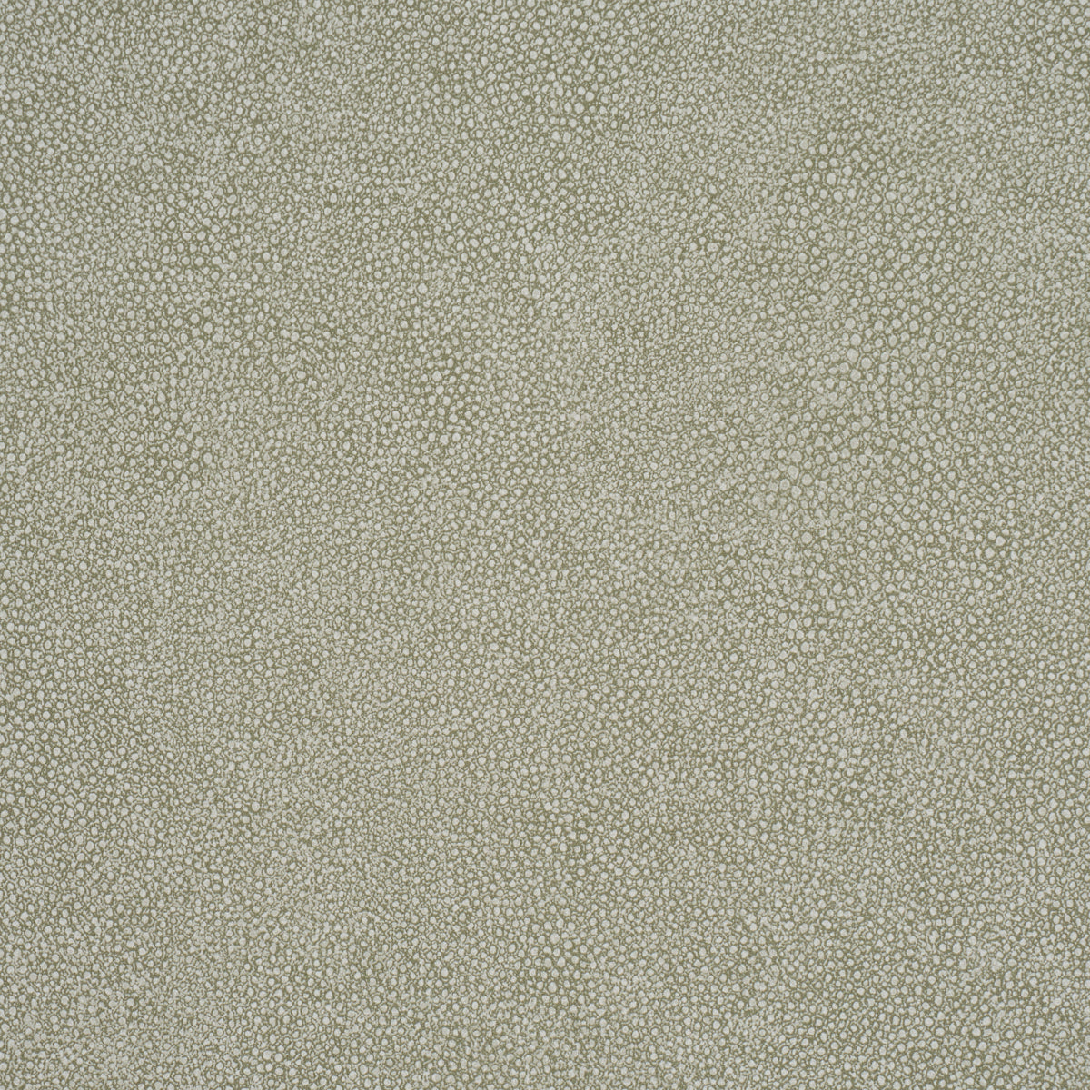 Purchase 5017260 | Dunbar Shagreen Vinyl, Olive - Schumacher Wallpaper