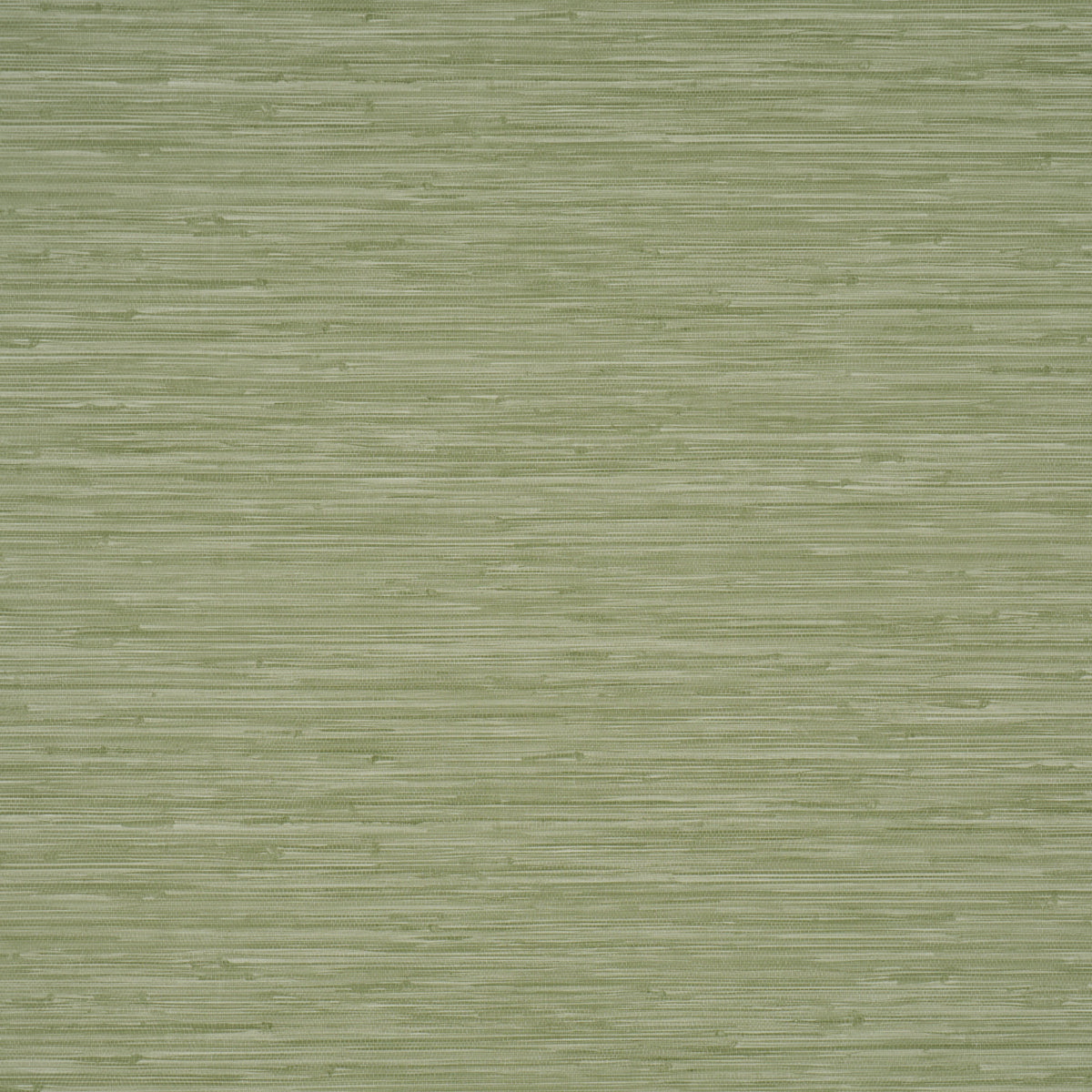 Purchase 5017273 | Horizon Grasscloth Vinyl, Leaf - Schumacher Wallpaper