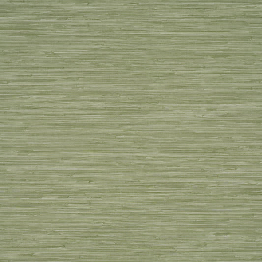 Purchase 5017273 | Horizon Grasscloth Vinyl, Leaf - Schumacher Wallpaper