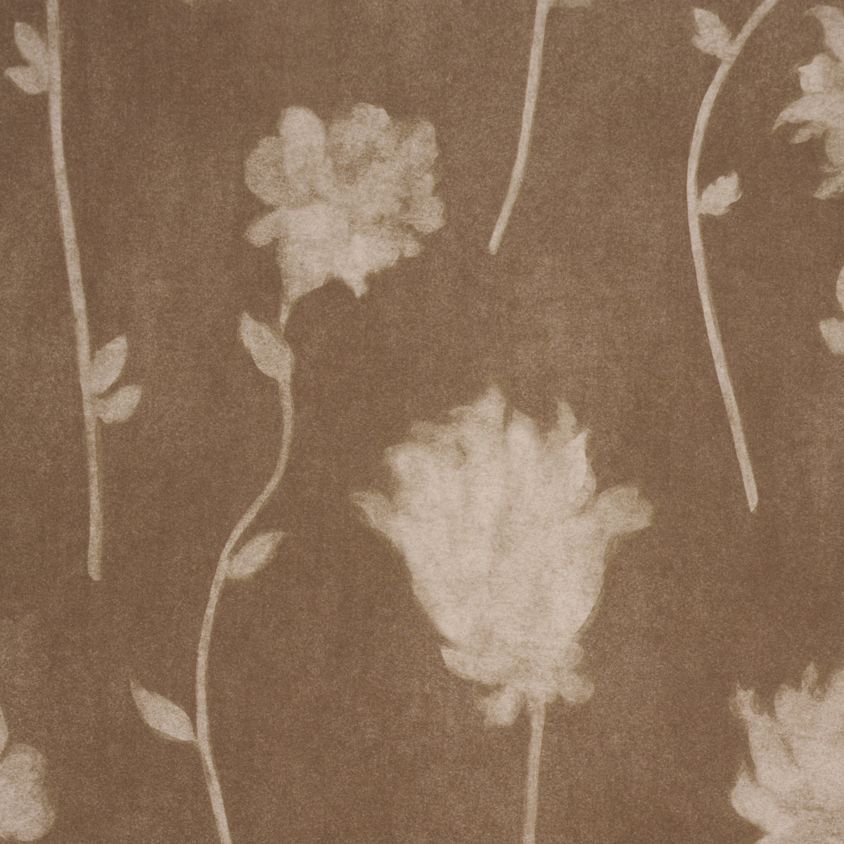 Purchase 5017361 | Before Midnight, Chocolate - Schumacher Wallpaper